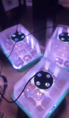 Smart inomhusodling med LED-ljus och ventilationssystem