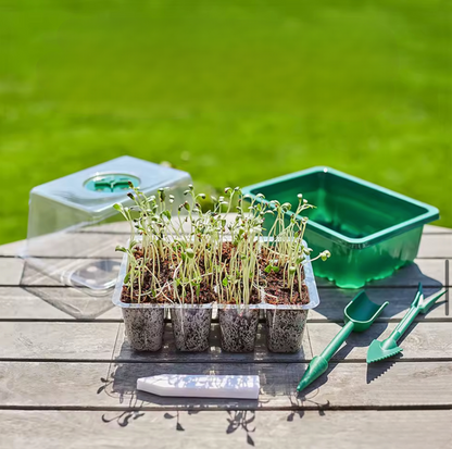 Smart inomhusodling med LED-ljus och ventilationssystem